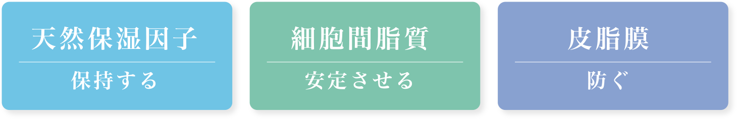 天然保湿因子・細胞間脂質・皮脂膜