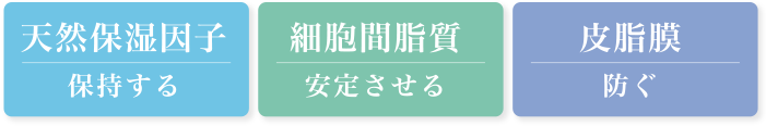 天然保湿因子・細胞間脂質・皮脂膜